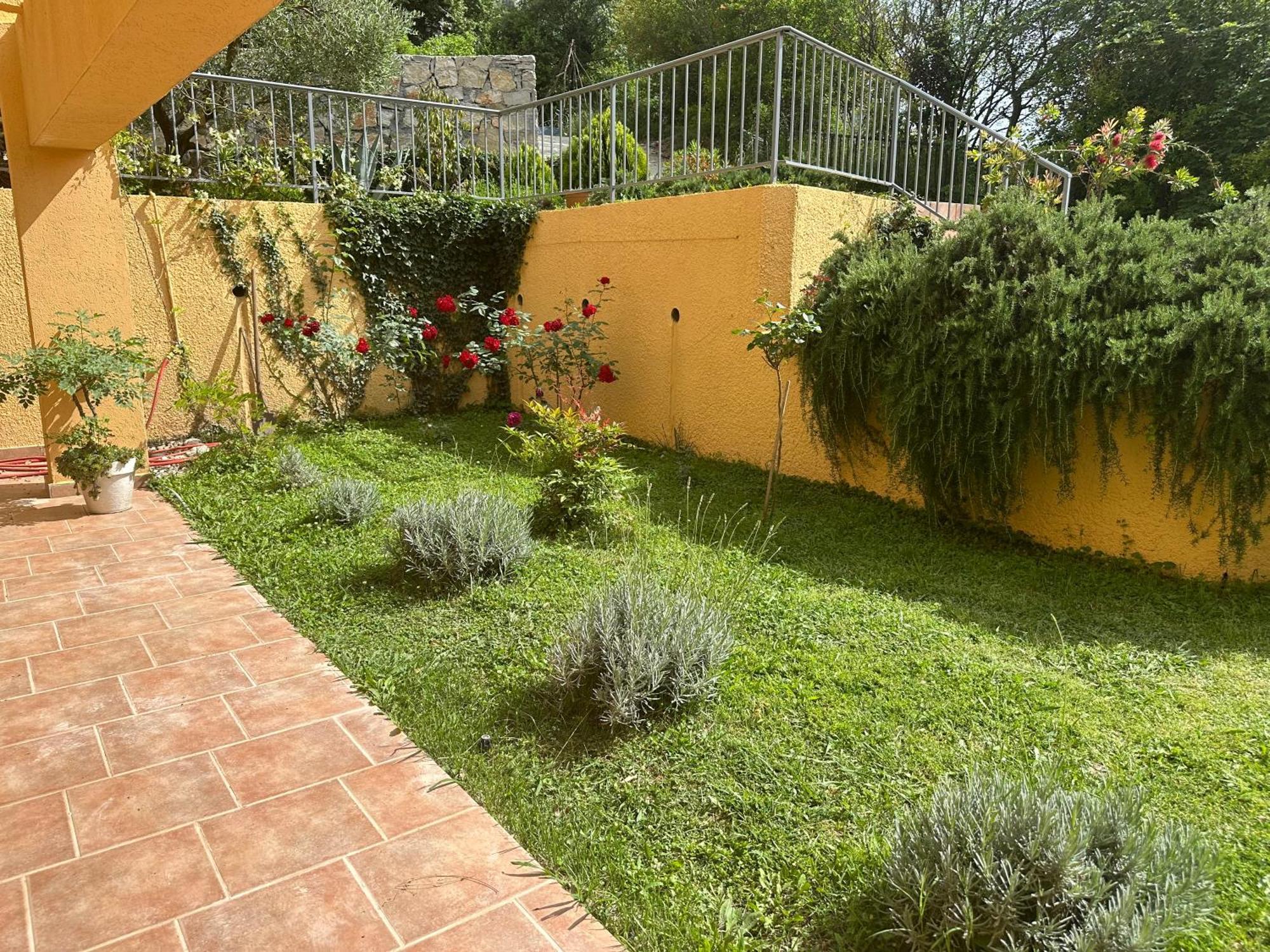 Villa Risan Apartments Bagian luar foto